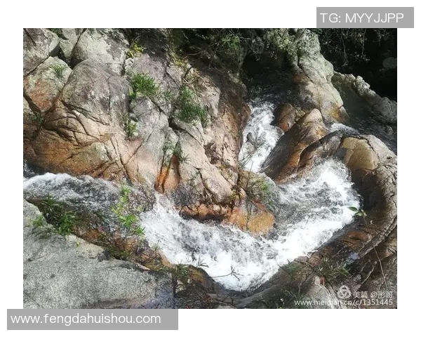 深度分析深圳攀岩队的区域防守战术及其战绩影响 深度分析深圳攀岩队的区域防守战术及其战绩影响